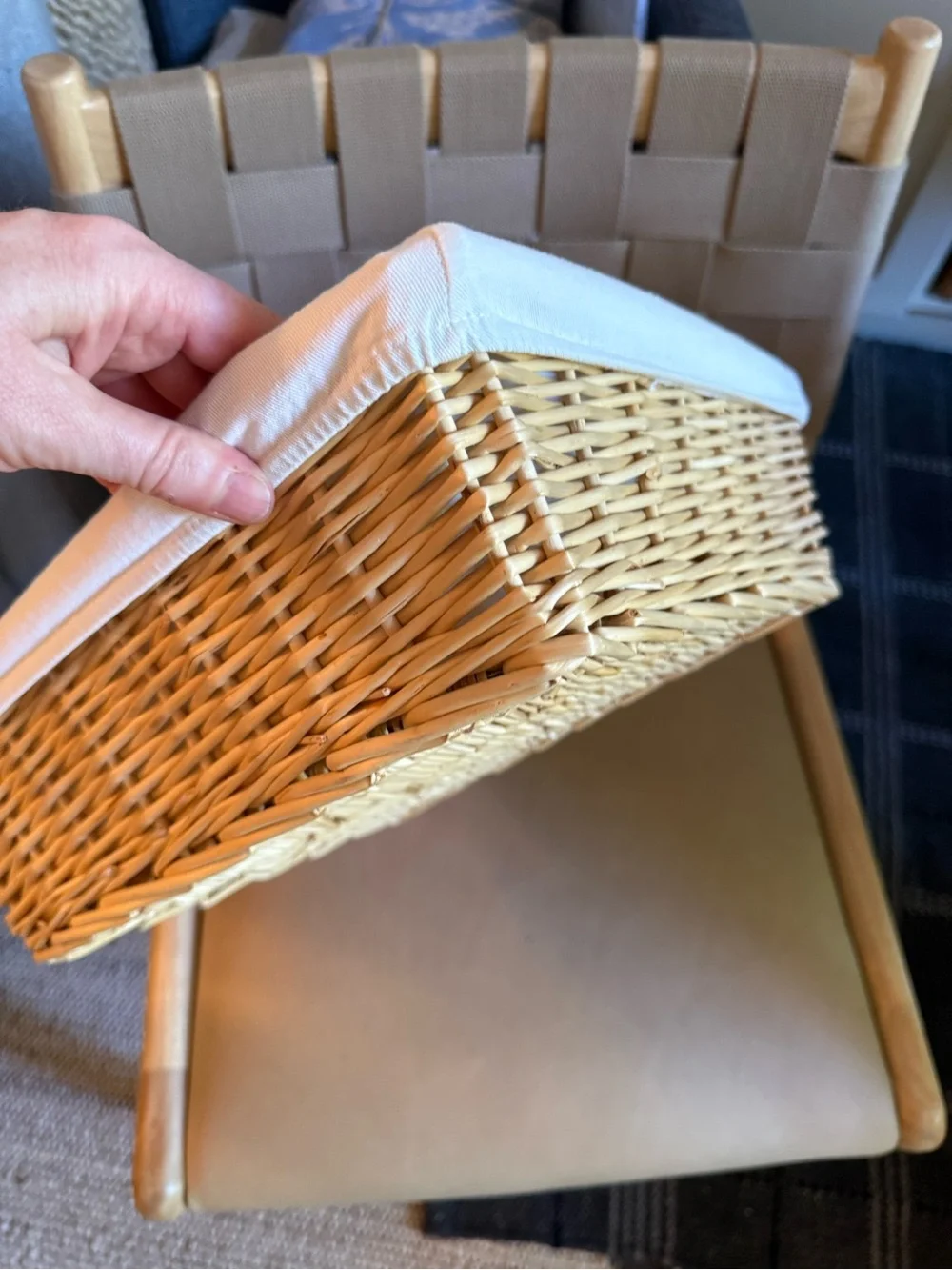 Woven Baskets with Fabric Liners
